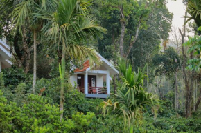 Dhanagiri Homestay Wayanad